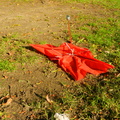 Discarded Umbrella Carcasses, NYC