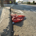 Discarded Umbrella Carcasses, NYC