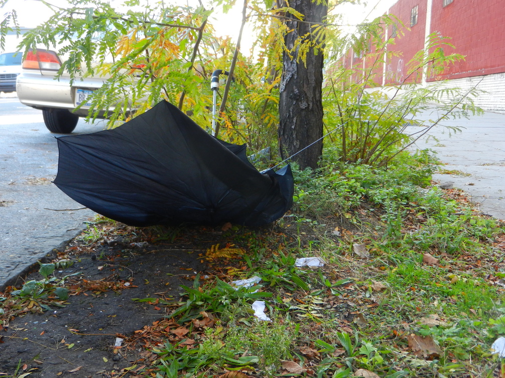 Discarded Umbrella Carcasses, NYC