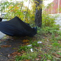 Discarded Umbrella Carcasses, NYC