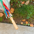 Discarded Umbrella Carcasses, NYC