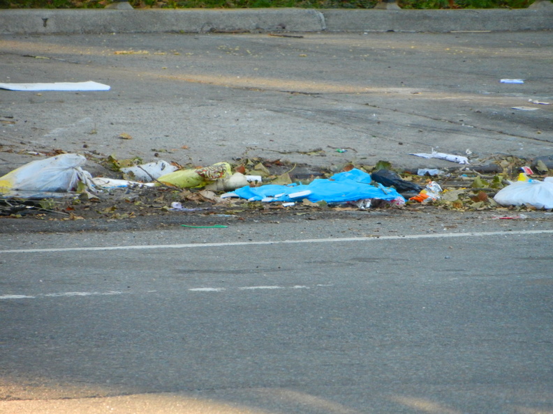 Discarded Umbrella Carcasses, NYC