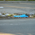 Discarded Umbrella Carcasses, NYC