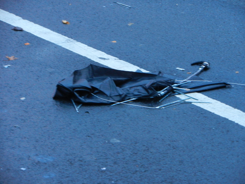 Discarded Umbrella Carcasses, NYC