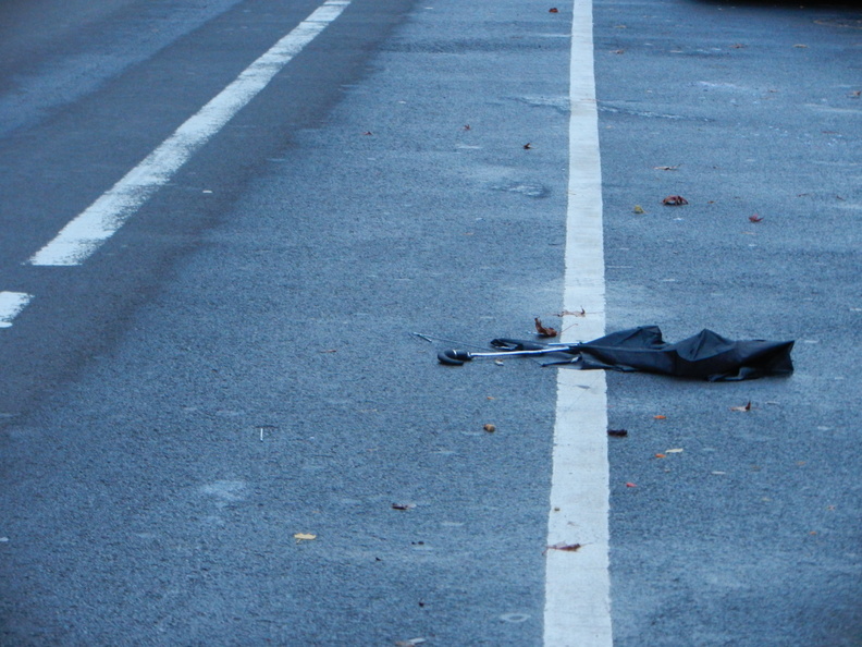 Discarded Umbrella Carcasses, NYC