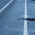 Discarded Umbrella Carcasses, NYC