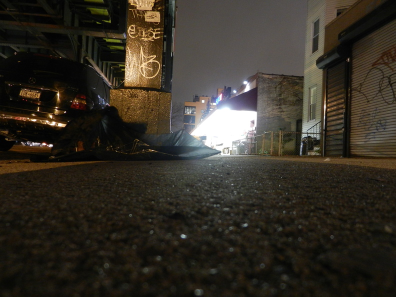 Discarded Umbrella Carcasses, NYC