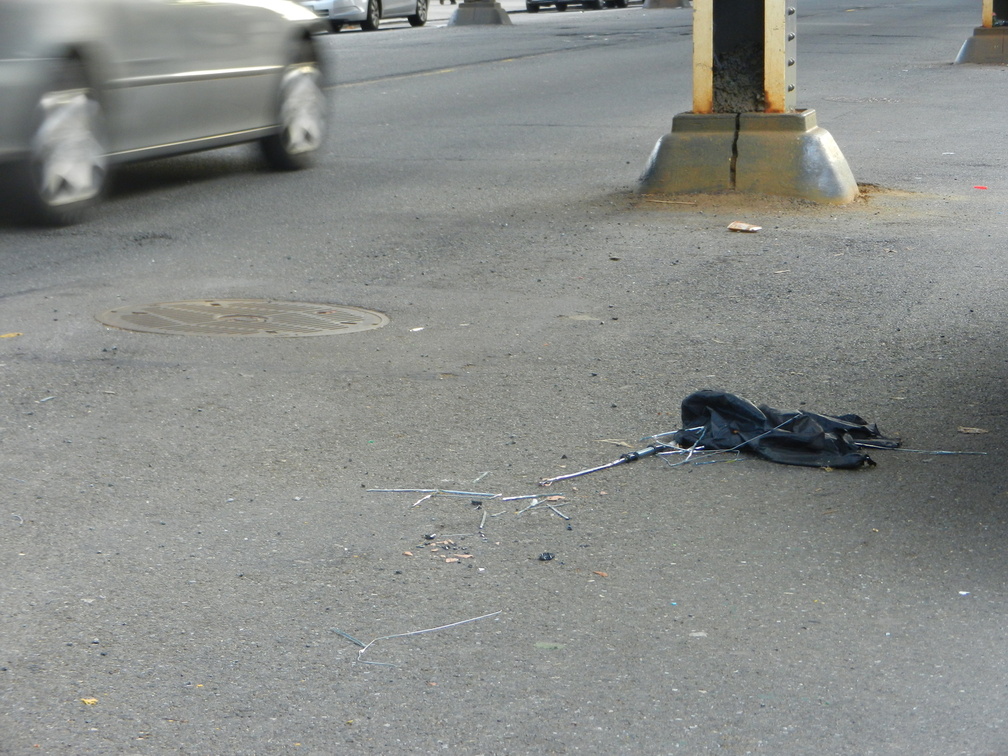 Discarded Umbrella Carcasses, NYC