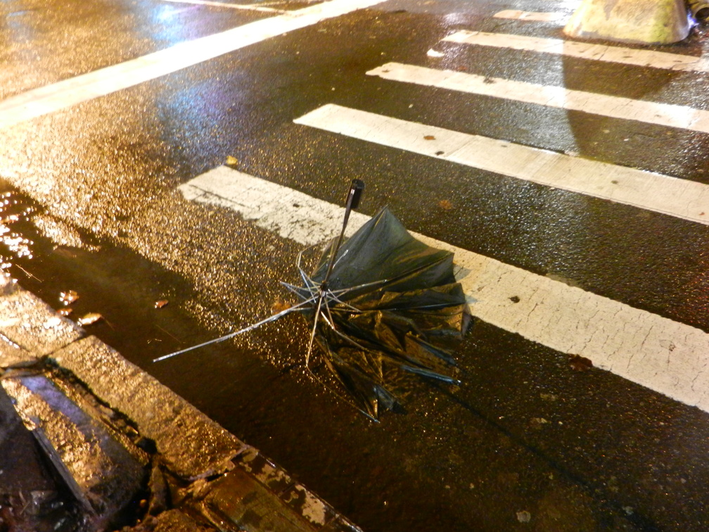 Discarded Umbrella Carcasses, NYC