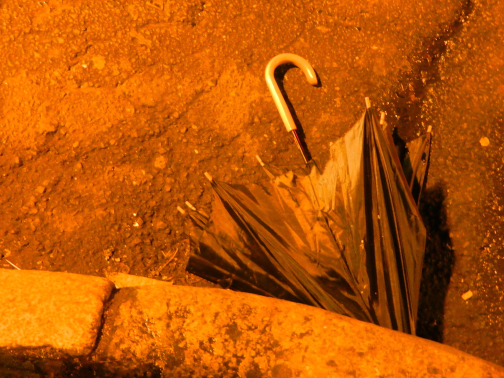 Discarded Umbrella Carcasses, NYC