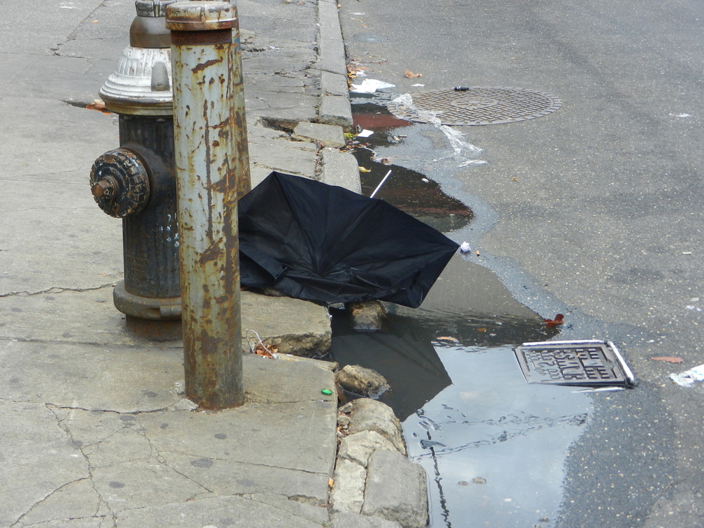 Discarded Umbrella Carcasses, NYC