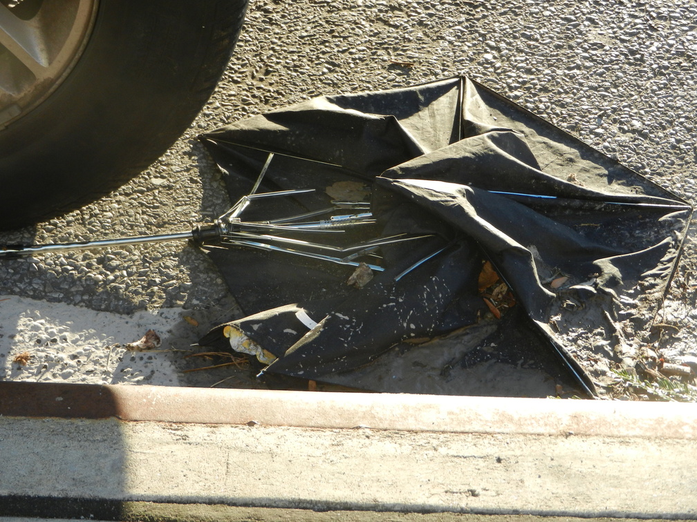 Discarded Umbrella Carcasses, NYC