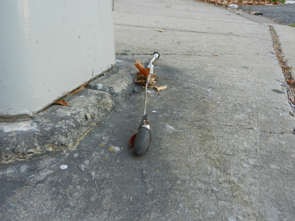 Discarded Umbrella Carcasses, NYC