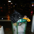 Discarded Umbrella Carcasses, NYC