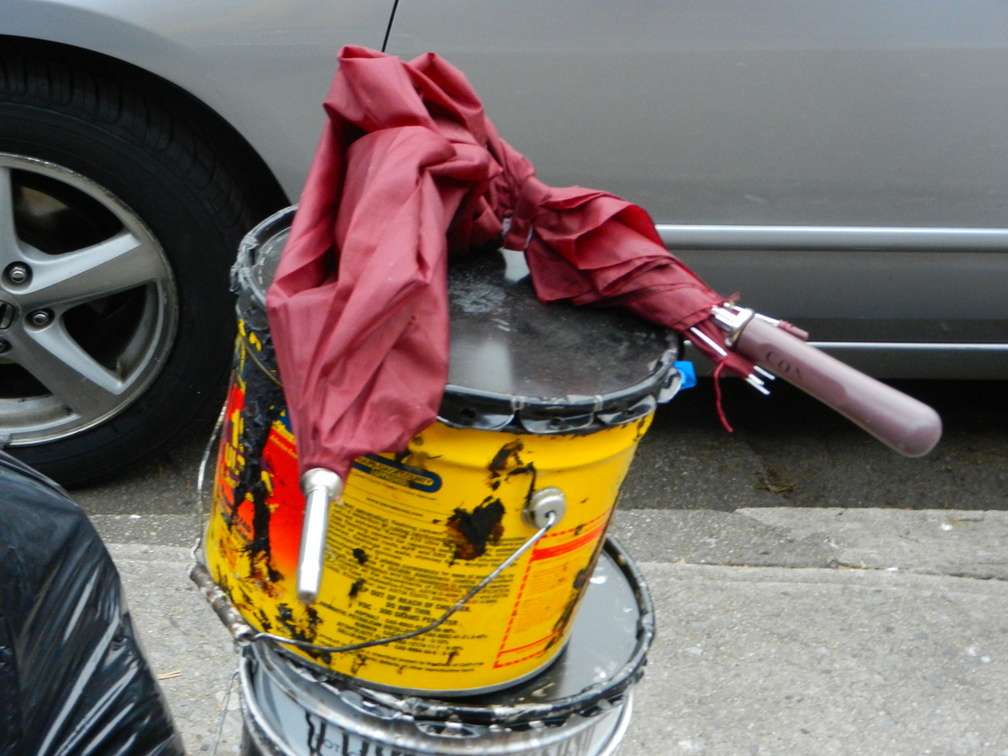 Discarded Umbrella Carcasses, NYC