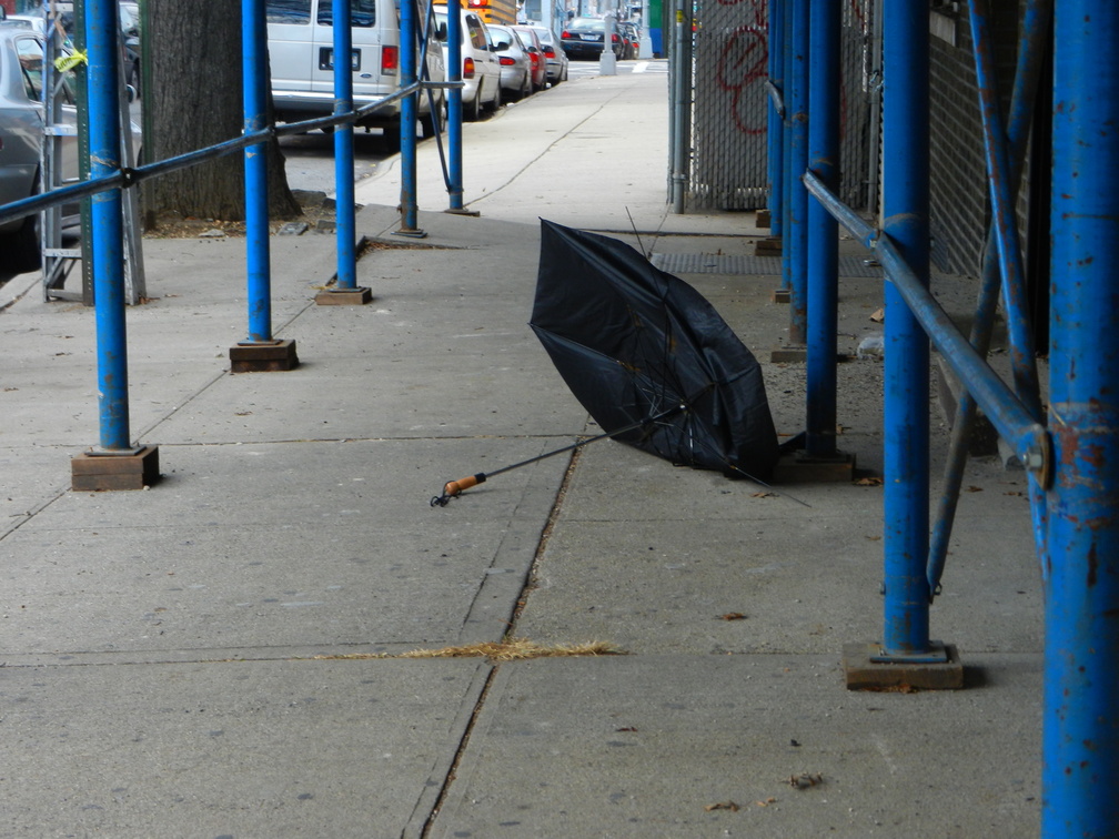 Discarded Umbrella Carcasses, NYC