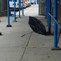 Discarded Umbrella Carcasses, NYC