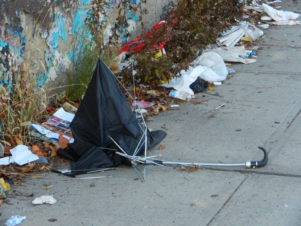 Discarded Umbrella Carcasses, NYC