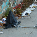 Discarded Umbrella Carcasses, NYC