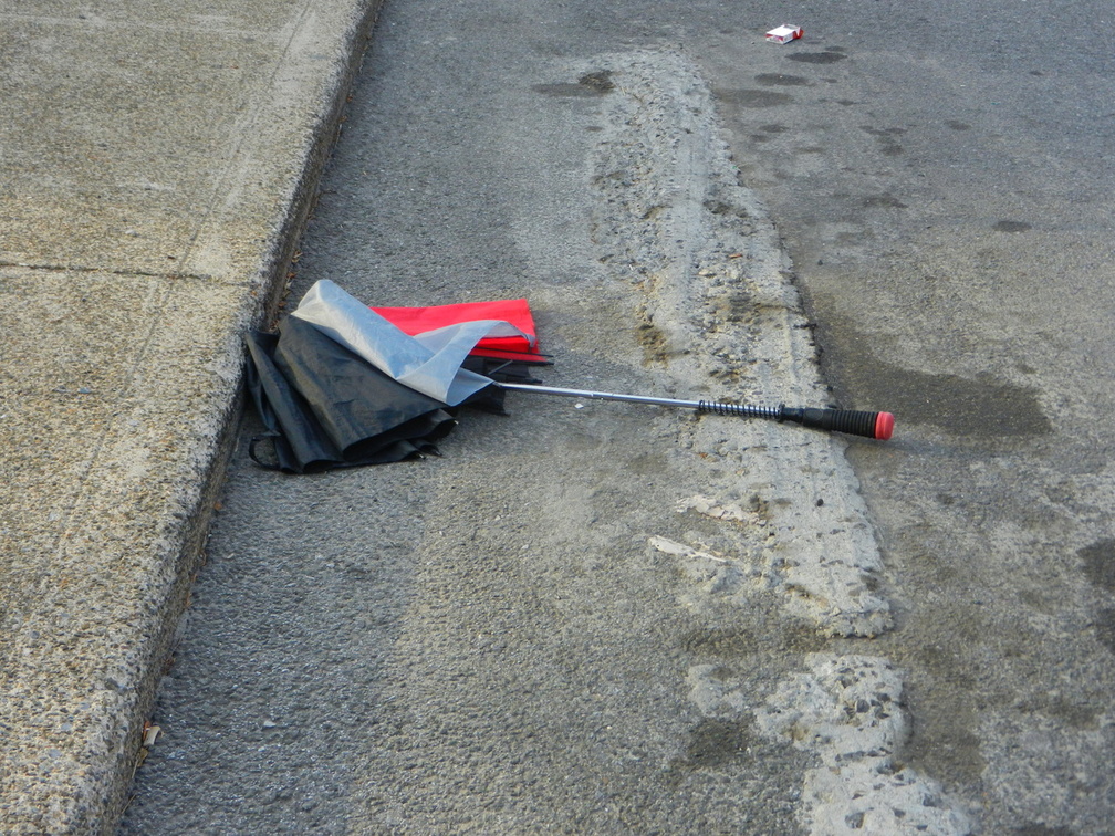 Discarded Umbrella Carcasses, NYC