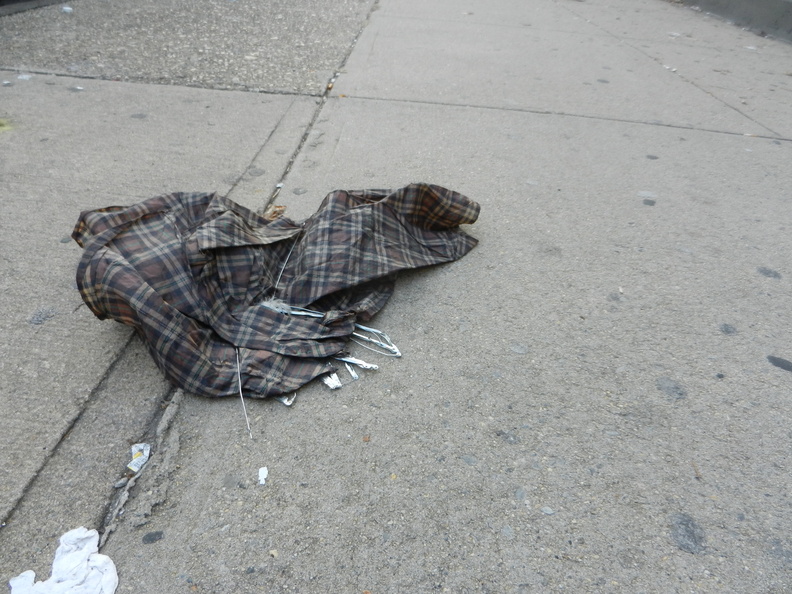 Discarded Umbrella Carcasses, NYC