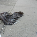 Discarded Umbrella Carcasses, NYC