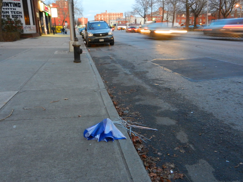 Discarded Umbrella Carcasses, NYC