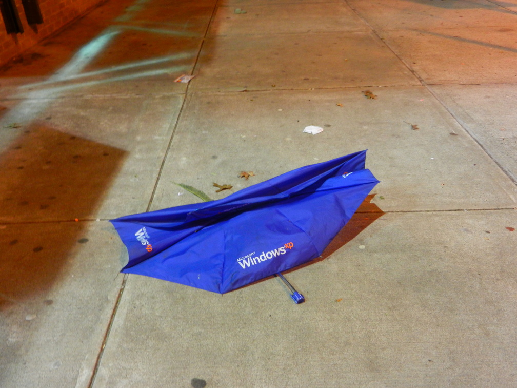 Discarded Umbrella Carcasses, NYC