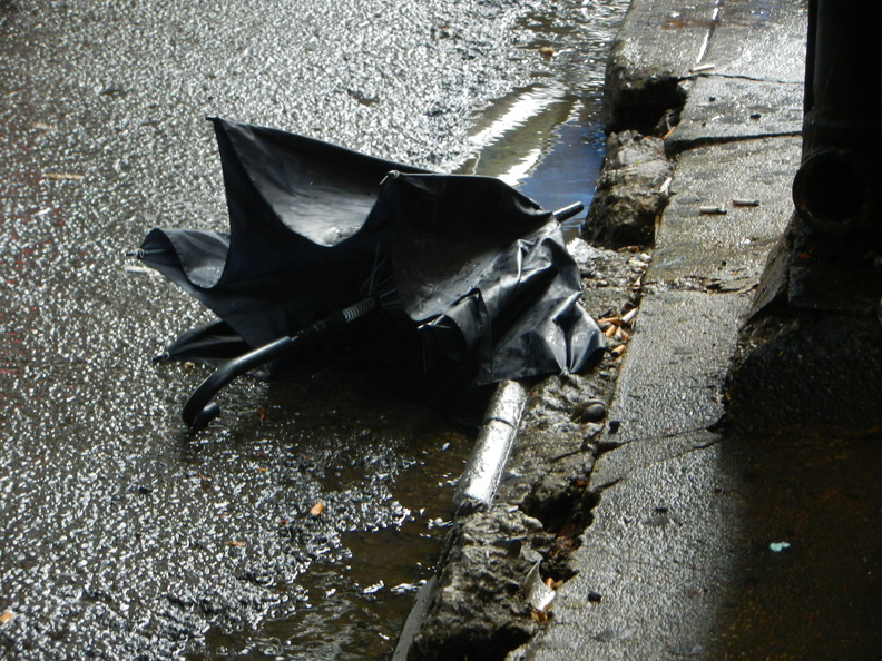 Discarded Umbrella Carcasses, NYC