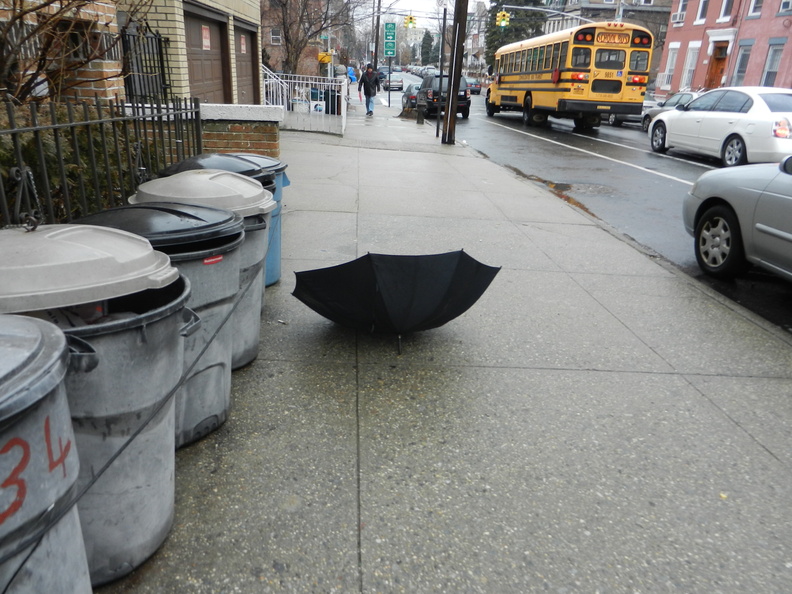 Discarded Umbrella Carcasses, NYC