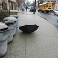 Discarded Umbrella Carcasses, NYC