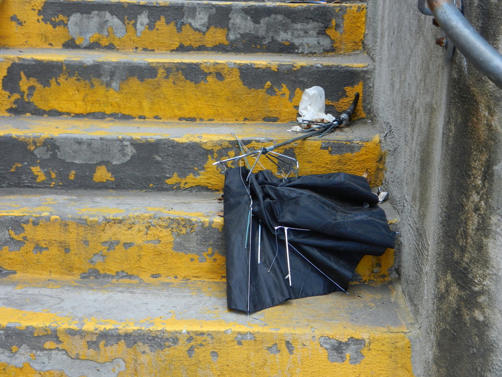 Discarded Umbrella Carcasses, NYC