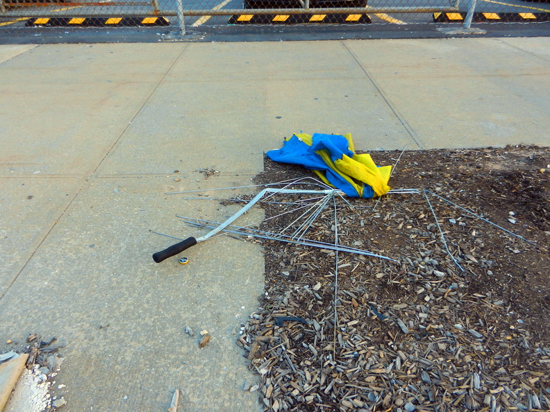 Discarded Umbrella Carcasses, NYC