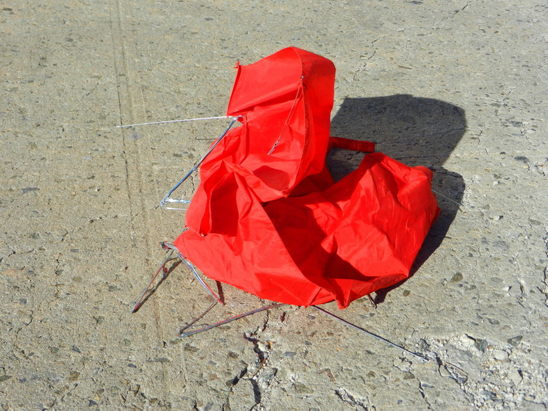 Discarded Umbrella Carcasses, NYC