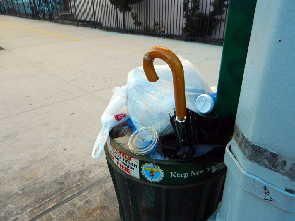 Discarded Umbrella Carcasses, NYC