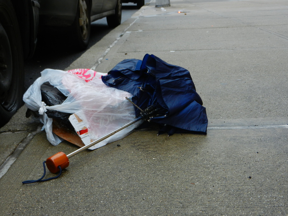 Discarded Umbrella Carcasses, NYC