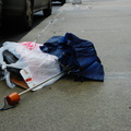 Discarded Umbrella Carcasses, NYC