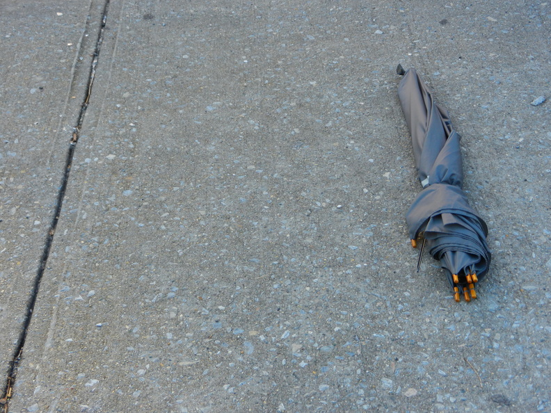 Discarded Umbrella Carcasses, NYC