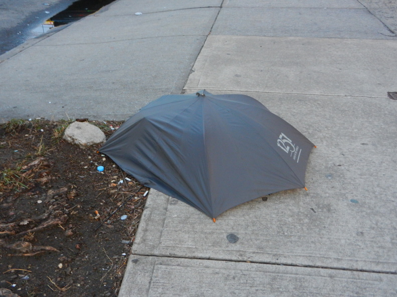 Discarded Umbrella Carcasses, NYC