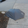 Discarded Umbrella Carcasses, NYC