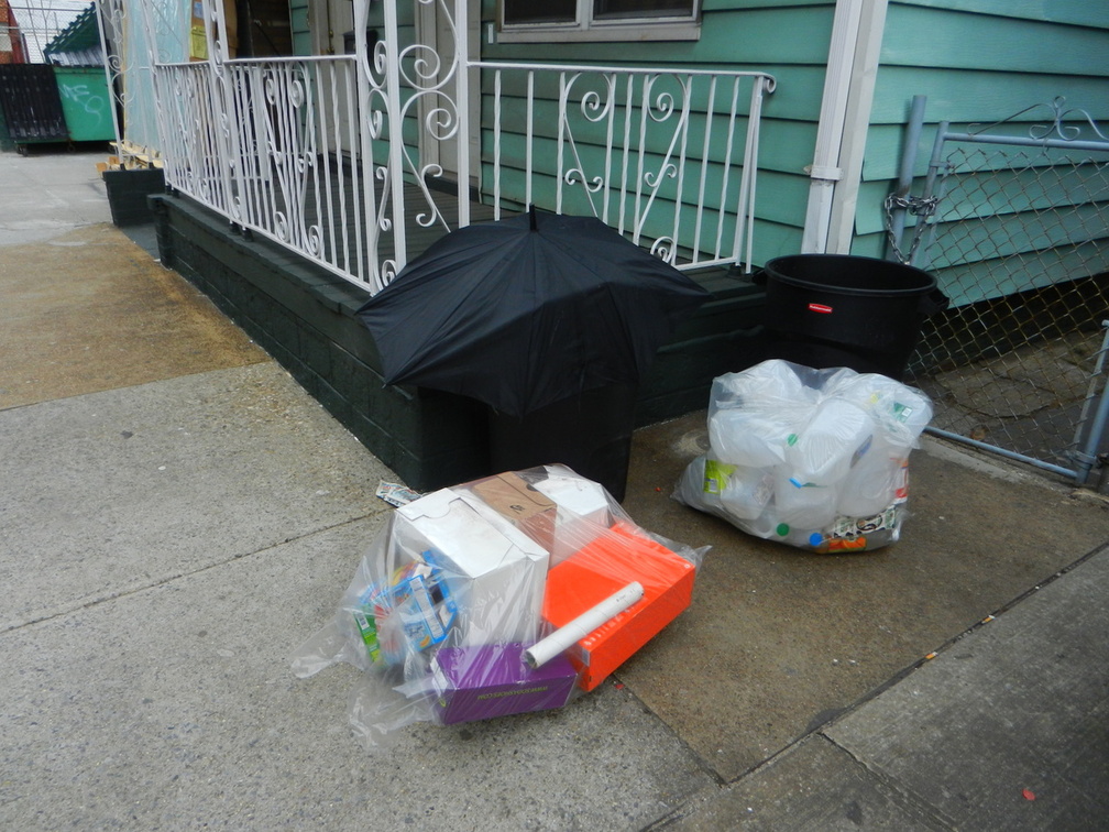 Discarded Umbrella Carcasses, NYC