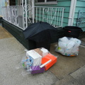 Discarded Umbrella Carcasses, NYC