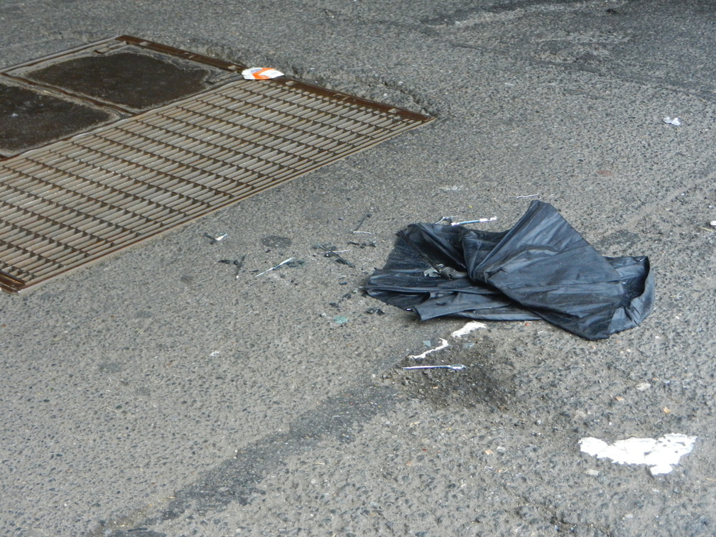 Discarded Umbrella Carcasses, NYC