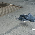 Discarded Umbrella Carcasses, NYC