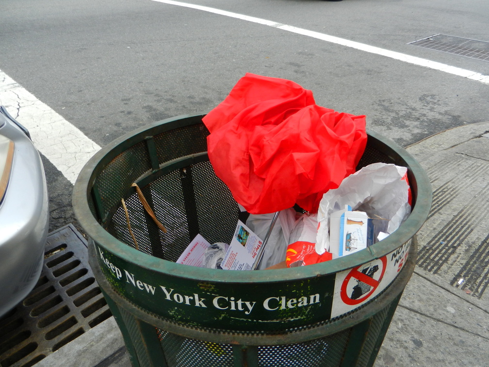 Discarded Umbrella Carcasses, NYC