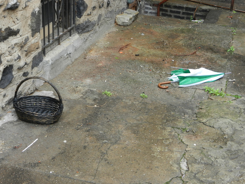 Discarded Umbrella Carcasses, NYC