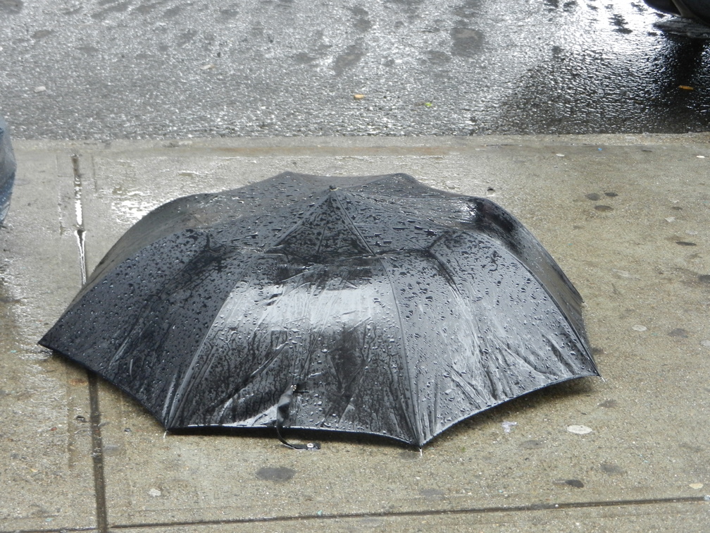 Discarded Umbrella Carcasses, NYC