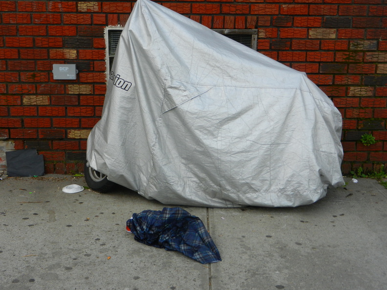 Discarded Umbrella Carcasses, NYC