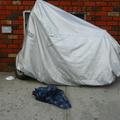 Discarded Umbrella Carcasses, NYC