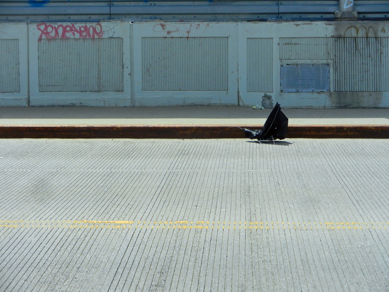 Discarded Umbrella Carcasses, NYC